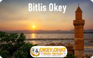 Bitlis Okey Odaları